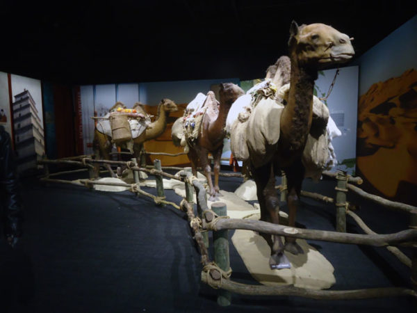 Cosi Silk Road Exhibit